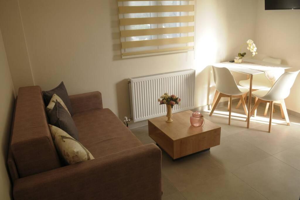 Lividio Apartment Λευκάδα Εξωτερικό φωτογραφία